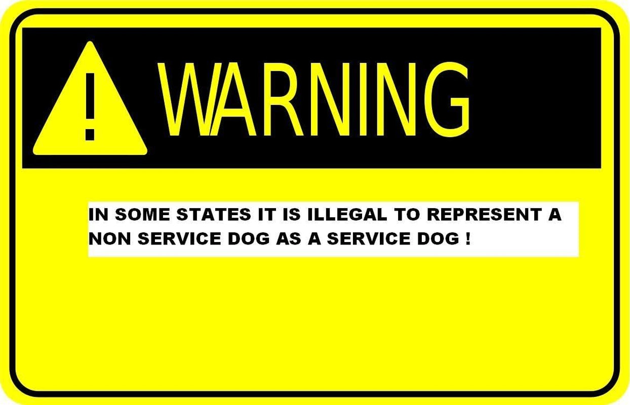 Enhance Your Service Dog's Safety with Reflective Service Dog in Training Patches - Medium Size (5 x 1.5 Inches) with Secure Hook and Loop Backing