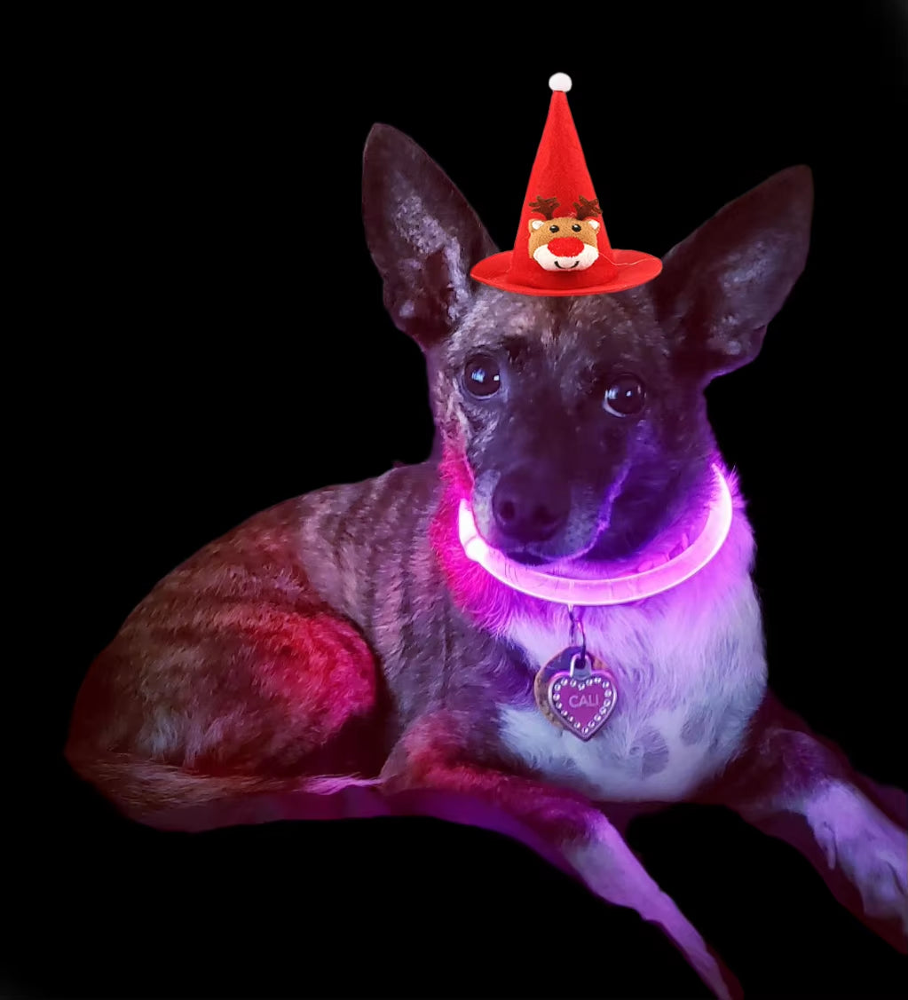 Illuminate Your Pet's Style: USB Rechargeable LED Dog & Cat Collar - Perfect for Christmas Gifts & Festive Decorations!