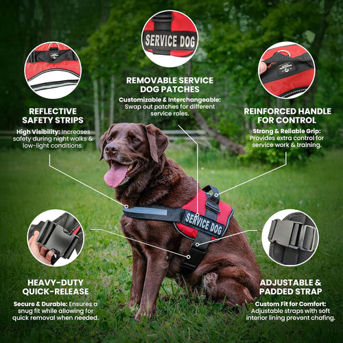 Ultimate Comfort & Control: Premium Adjustable Service Dog Vest and Leash Set with Reflective Patches - Perfect for All Breeds!
