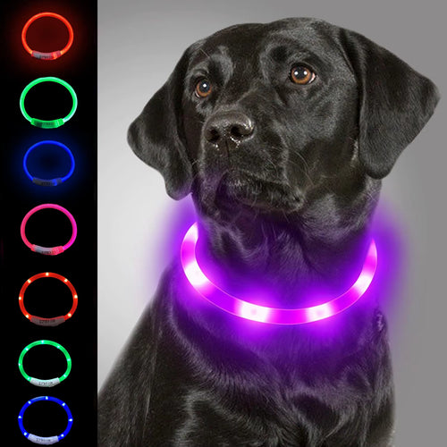 Illuminate Your Pet's Style: USB Rechargeable LED Dog & Cat Collar - Perfect for Christmas Gifts & Festive Decorations!