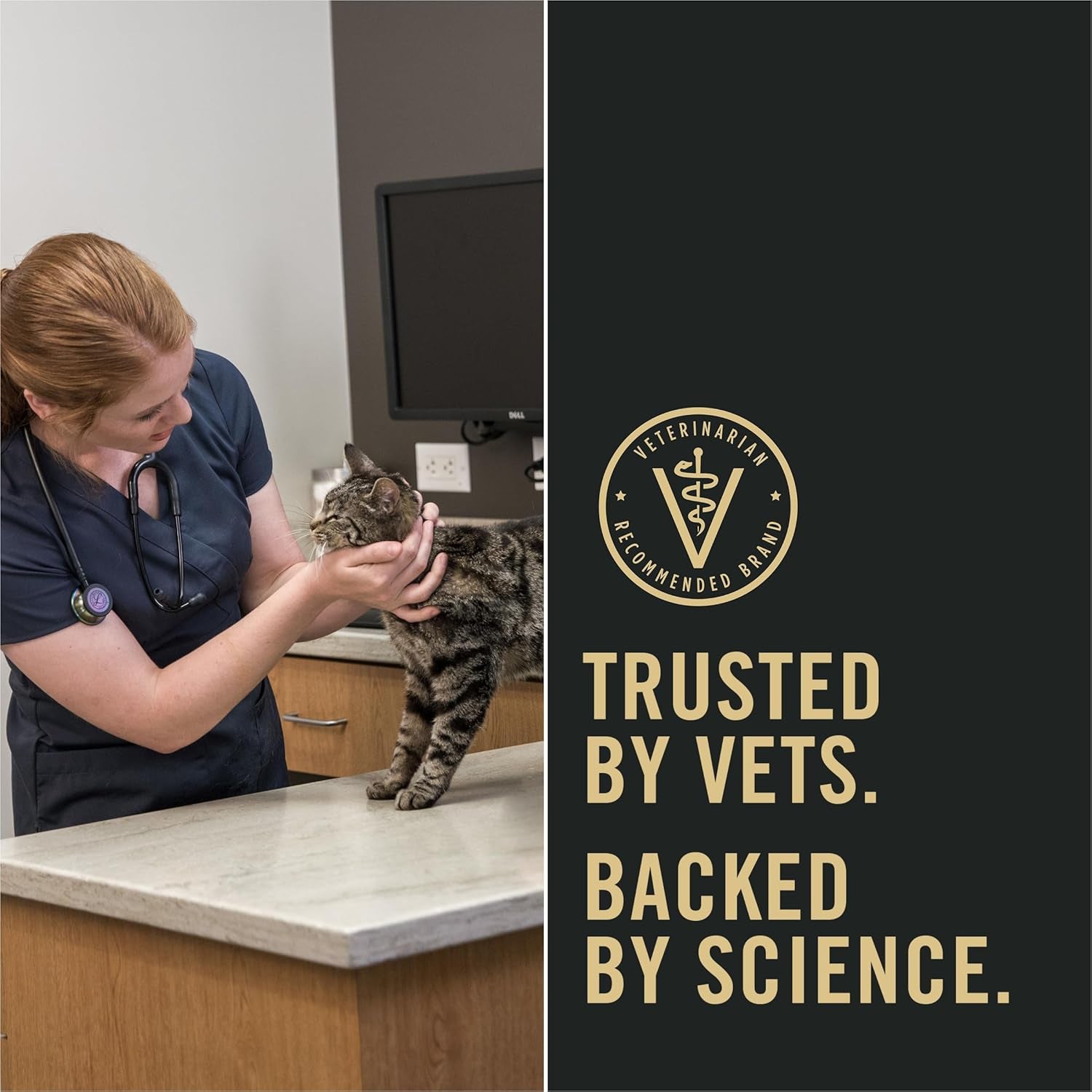 Purina Pro Plan LiveClear Weight Management Cat Food - Chicken & Rice Formula for Healthy Cats, 5.5 lb Bag